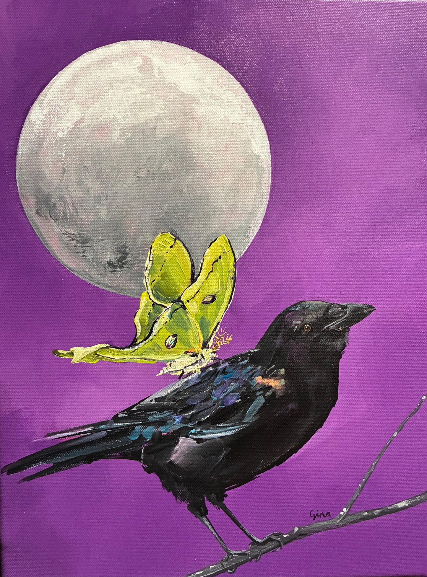 Bird, moth, and moon in perfect alignment — original acrylic painting by Birds on a Cup