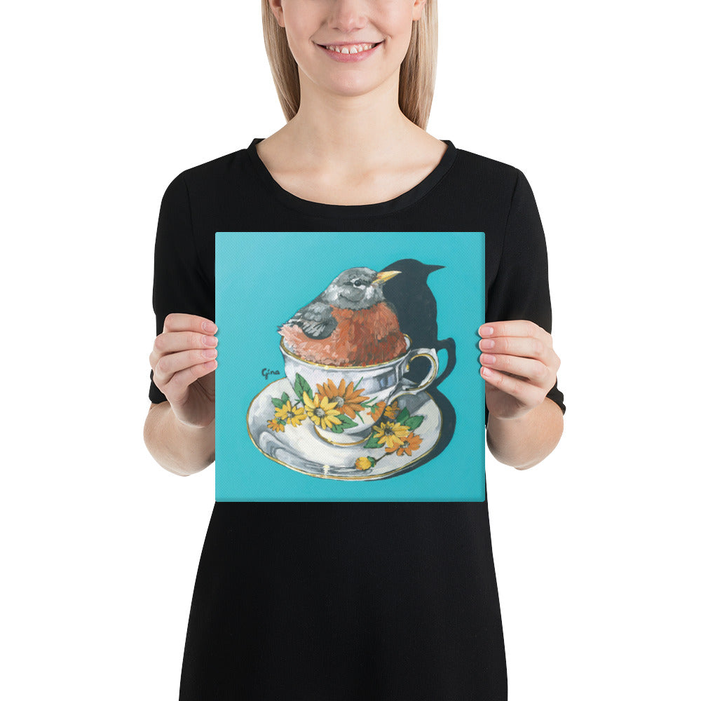 Robin nestled comfortably in a teacup — 10x10 canvas print by Birds on a Cup