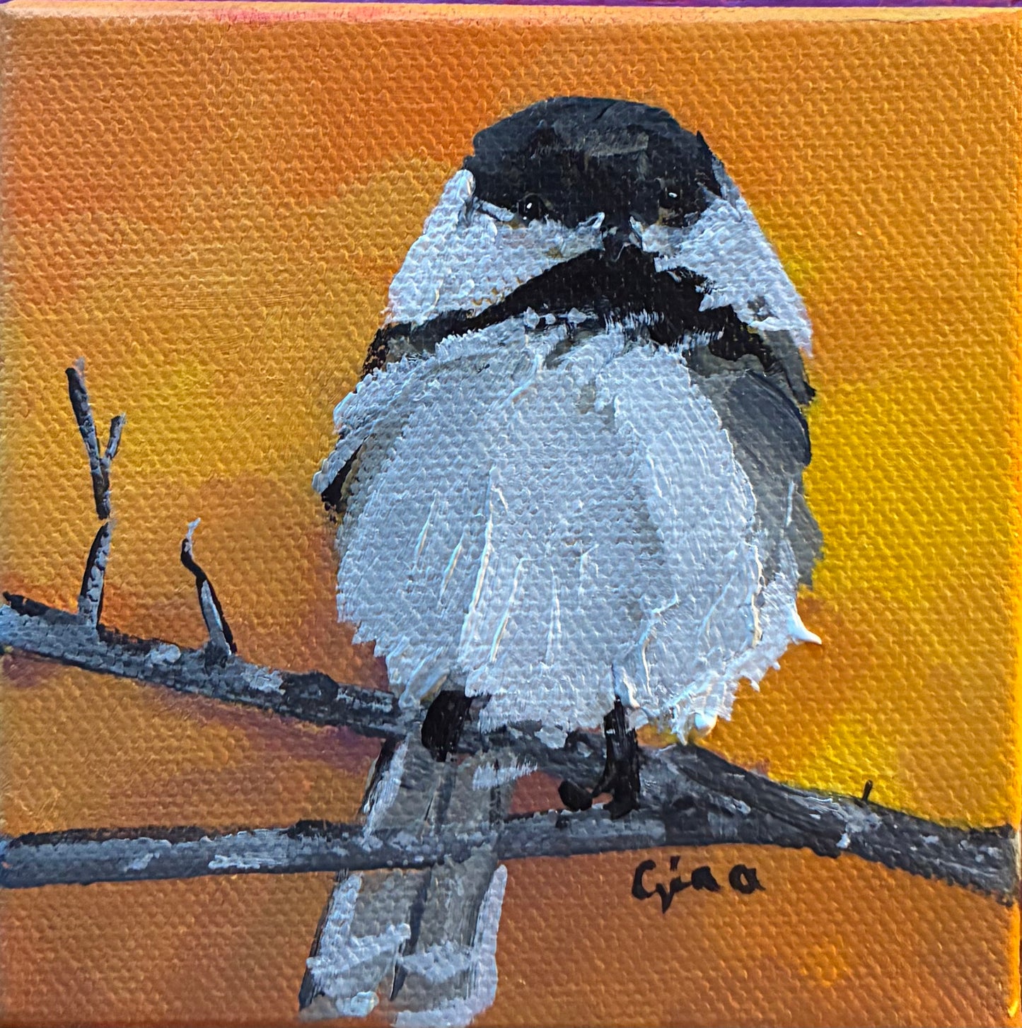 Chickadee puffed up against the cold, ready to land on an outstretched hand — original acrylic painting by Birds on a Cup