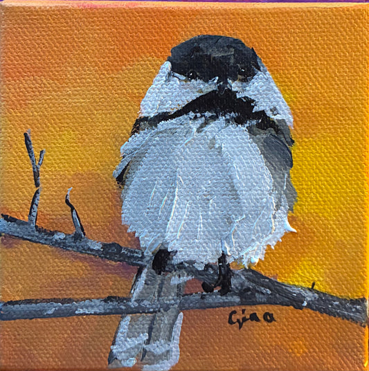 Chickadee puffed up against the cold, ready to land on an outstretched hand — original acrylic painting by Birds on a Cup