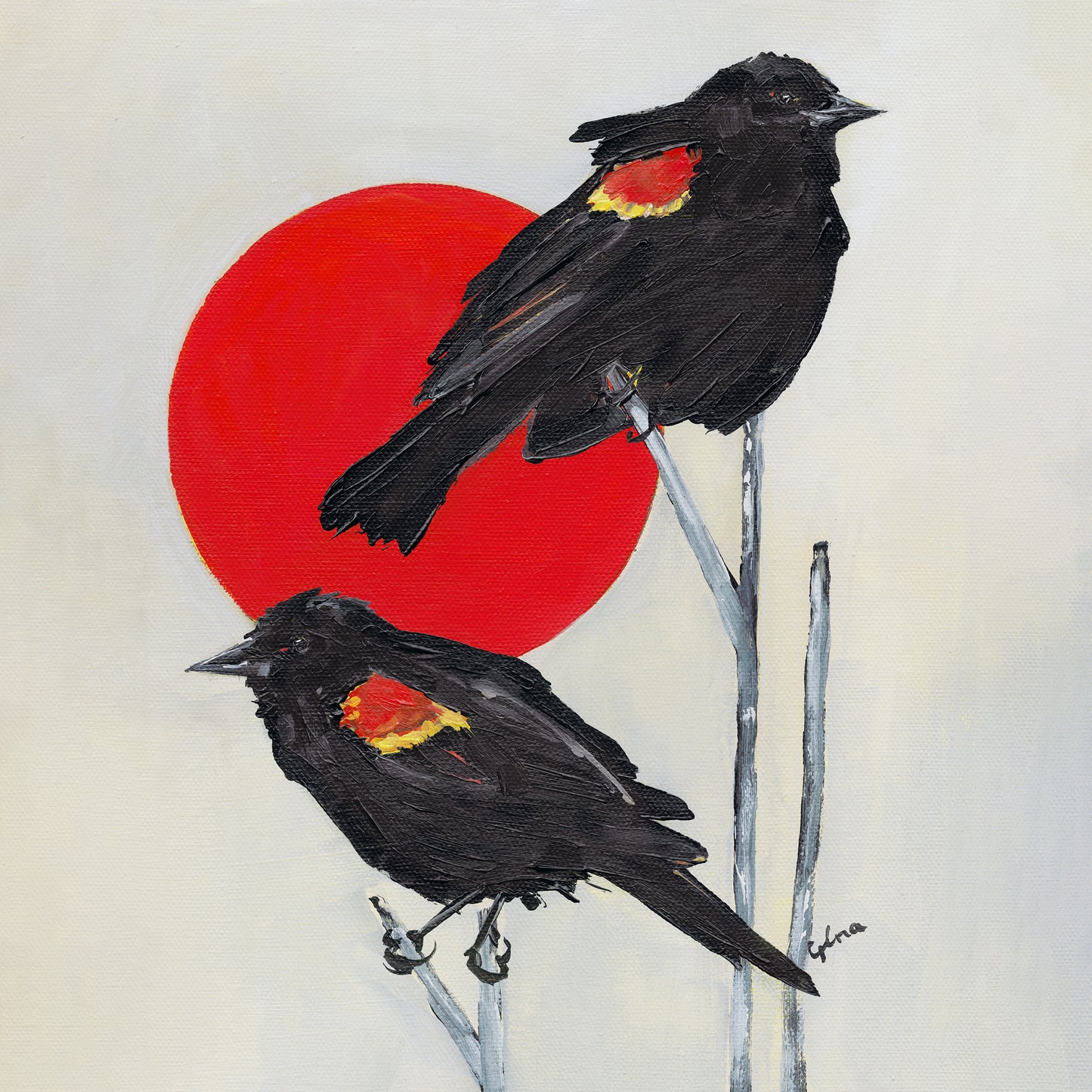 Two Red-Winged Blackbirds basking in the sun — wildlife art card by Birds on a Cup