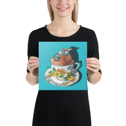Robin nestled comfortably in a teacup — 10x10 canvas print by Birds on a Cup