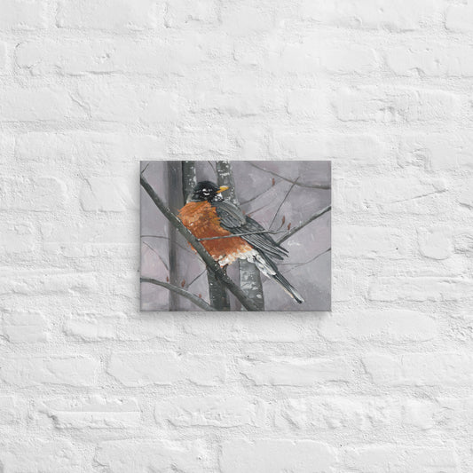 Robin on a wintery day — 14x11 canvas print by Birds on a Cup