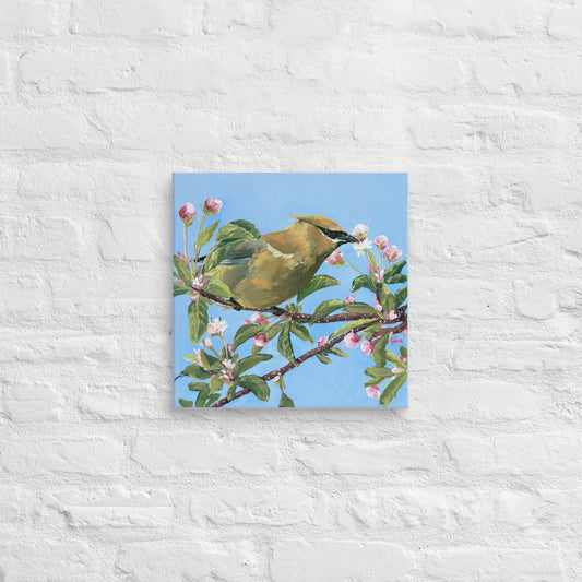 Cedar Waxwing perched among blossoms — canvas print by Birds on a Cup
