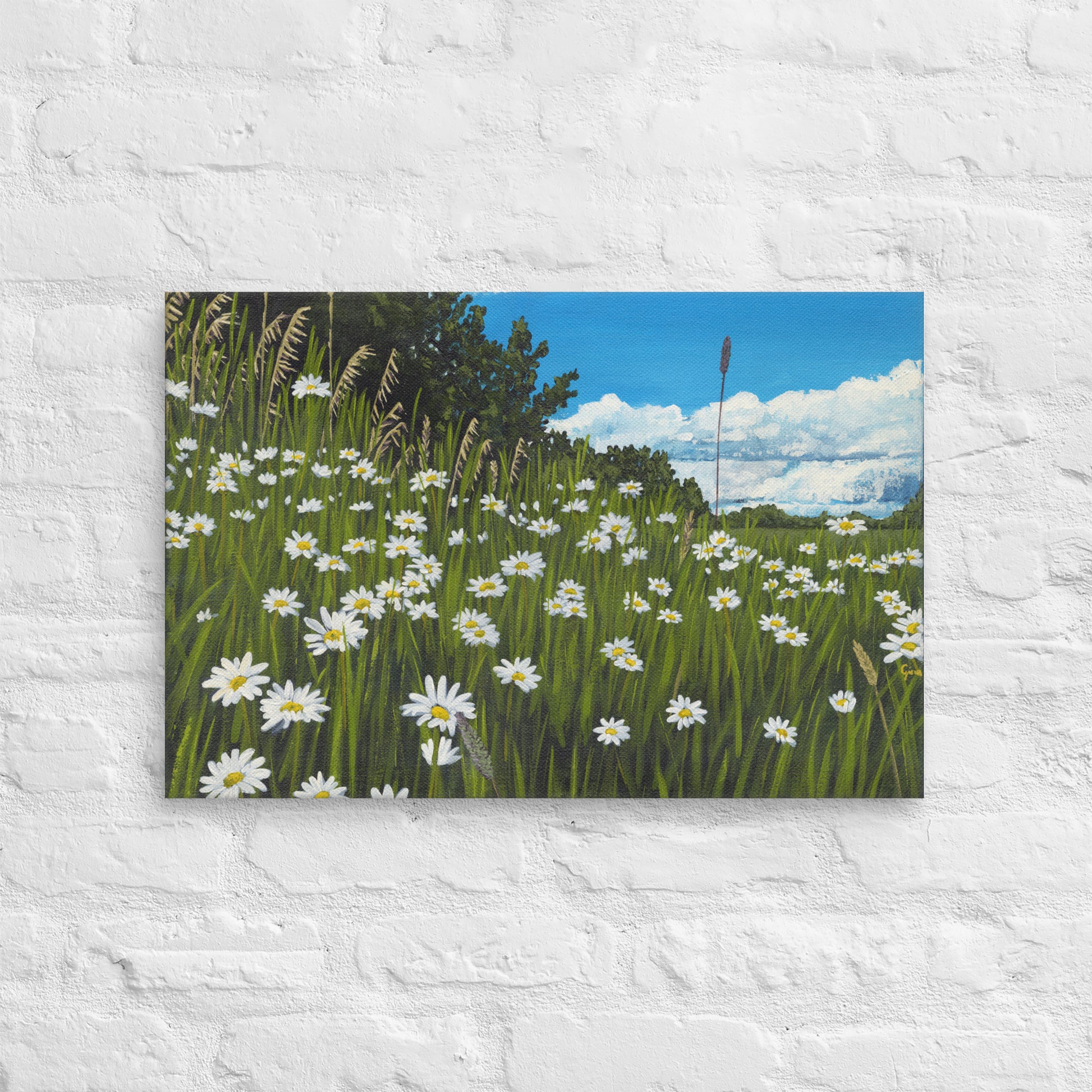 Field of daisy dreams — canvas print by Birds on a Cup
