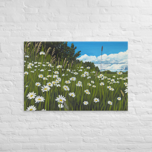 Field of daisy dreams — canvas print by Birds on a Cup
