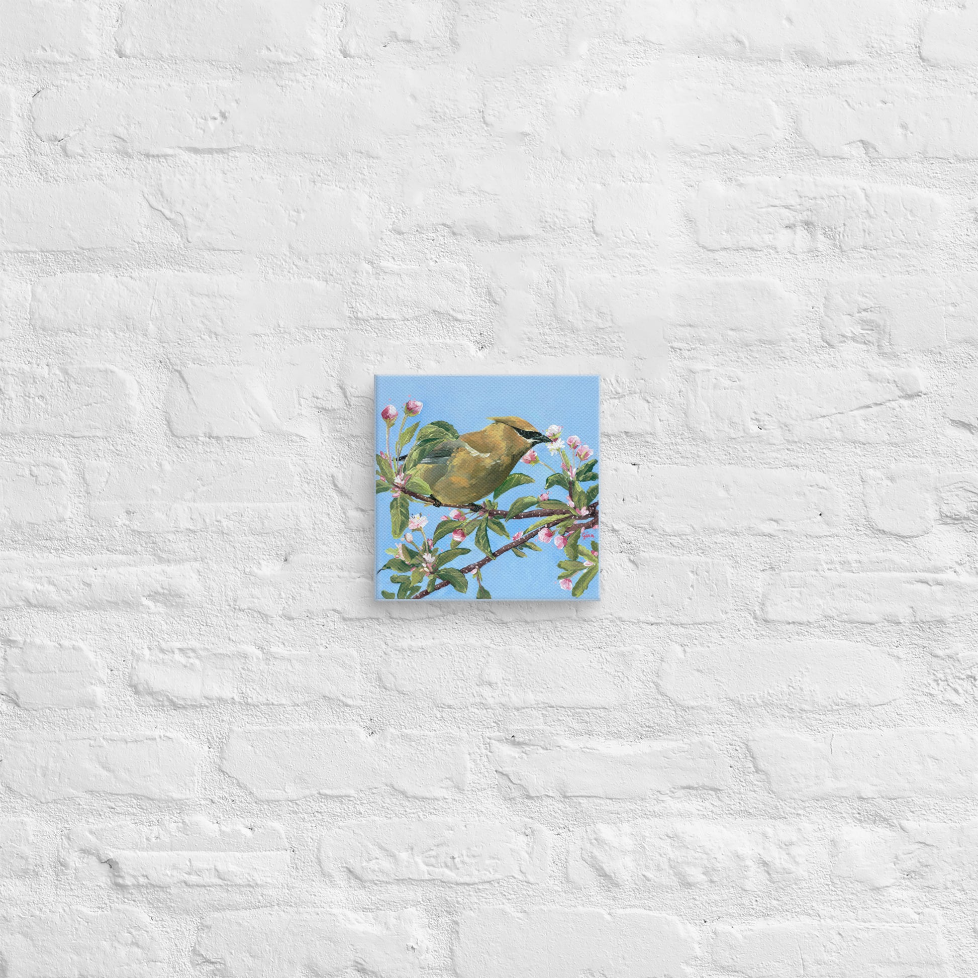 Cedar Waxwing perched among blossoms — canvas print by Birds on a Cup

