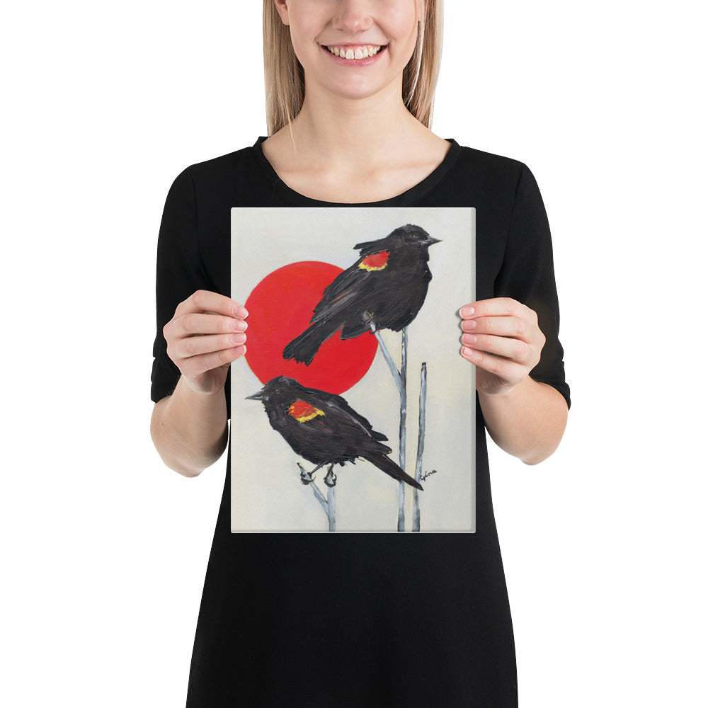 Red-winged blackbirds basking in the sun — 9x12 and 12x16 canvas print by Birds on a Cup