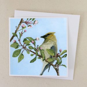Cedar-Waxwing-in-Apple-Blossoms-Card