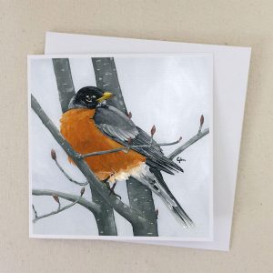 Male-Robin-in-Alder-Branches-Card
